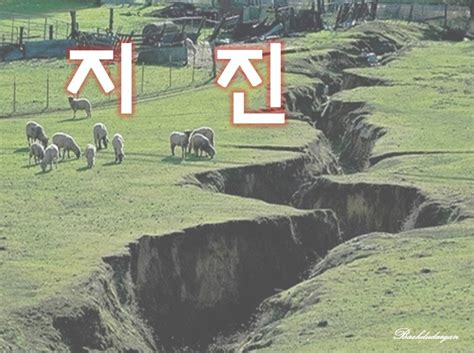 일본이 지진이 일어나는 이유
